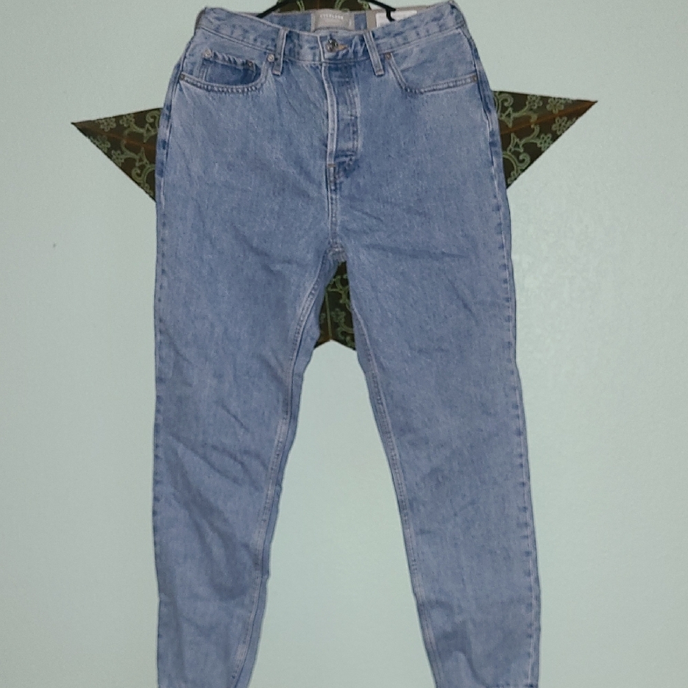 Everlane Classic Blue Jeans